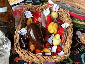 IMG_5187