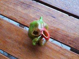 IMG_20170806_162433