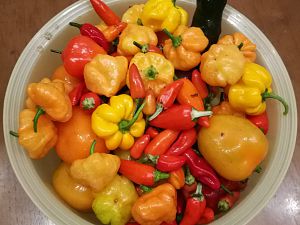 IMG_20170919_193203