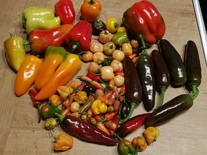IMG_20170829_192403