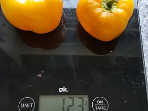 20170921_164237