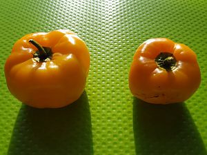 20170922_091505