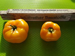 20170922_091525