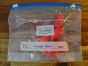 Treffen_Oberursel_Trinidad_Hornet