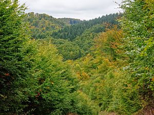 IMGP2841