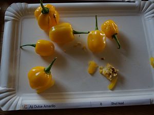 Aji_Dulce_amarillo_0
