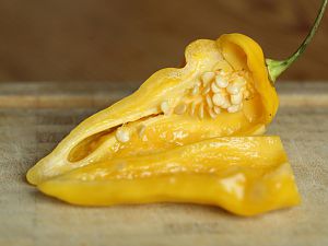 20170925-bhut-jolokia-gelb-HM6C8841