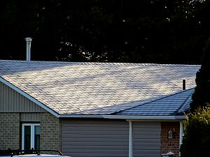 Frost