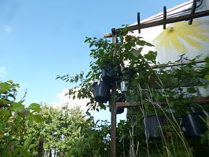 P1310701