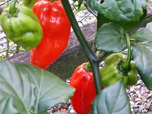 20171003_175439_Richtone(HDR)