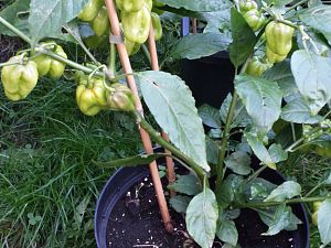 20171003_175930_Richtone(HDR)