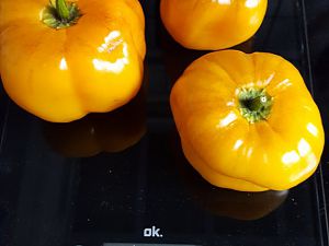 20171006_082533