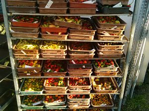 IMG_20171014_170802