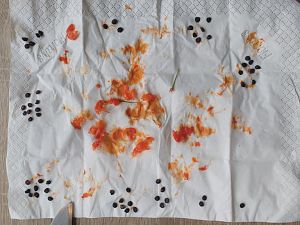 IMG_20171008_112417094