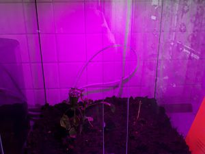 IMG_20171017_111402