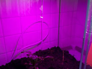 IMG_20171017_111427