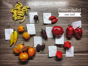 Probierpaket von Axel (@ogtutchili)