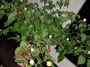 20171019_002927