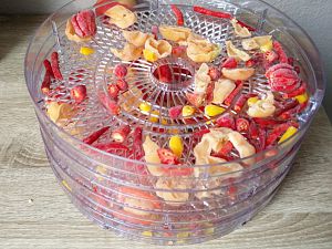 IMG_20171020_131213