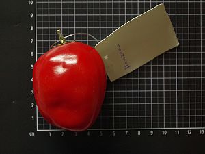 Rocoto Manzano Red