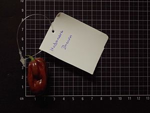 Habanero Chocolate