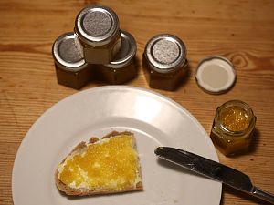 20171022-rocoto-gelbe-riesen-marmelade-HM6C9525