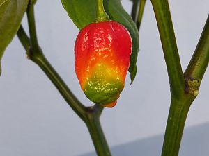 20171017_170521