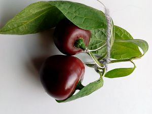 IMG_20171025_120851