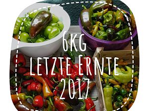 letzte Ernte 2017