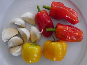 Sauce1