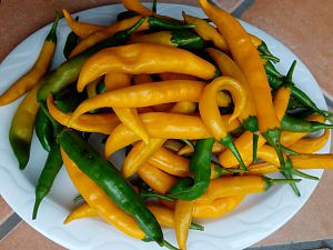 IMG_20171029_175953_174