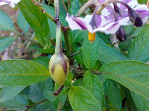 IMG_20171029_175841_165