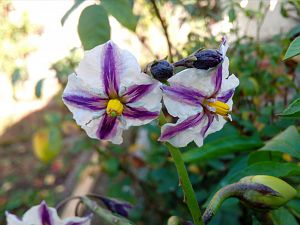 IMG_20171029_175803_362