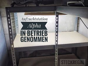 Aufzuchtstation Alpha in Betrieb genommen.