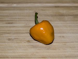 171031_Chiluacle_Amarillo