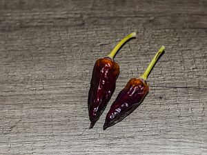 171031_Cumstock_Purple_Pepper_2