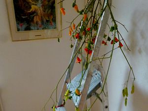 P1320302