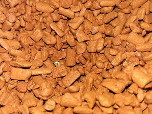 IMG_20171114_190427