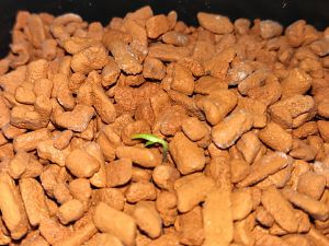IMG_20171114_190137