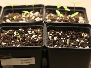 20171116-rocoto-p360-HM6C9836