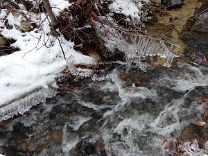 Creek