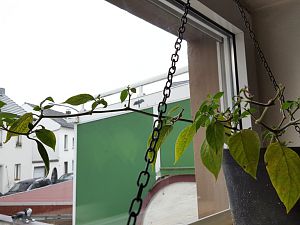 20171125_094939