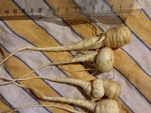 IMG_20171201_165842484