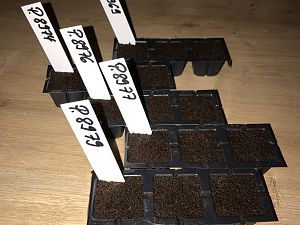 D3CB41FA-74BA-4E99-A93B-D73FABE152C9