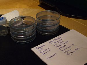 IMG_8567