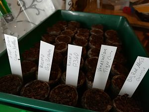 IMG_20171220_175627