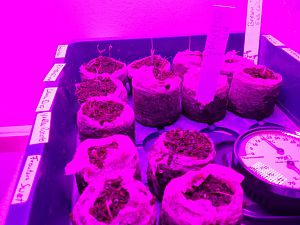 IMG_20171227_125629