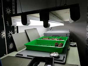 IMG_20180102_211649