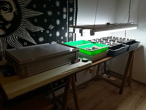 IMG_20180103_230808