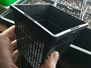 IMG_20180103_231516